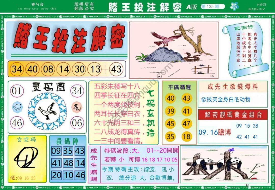 赌王投注解密