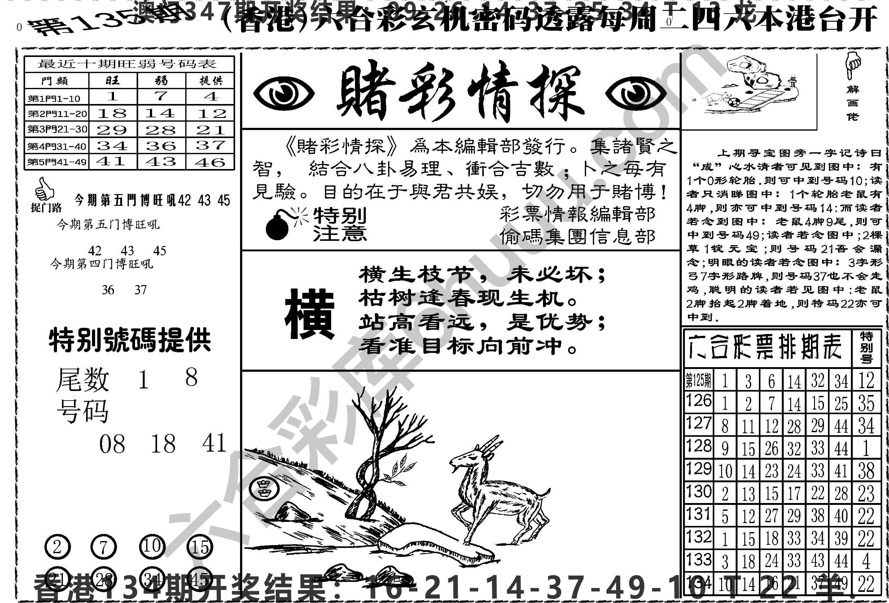 赌彩情探