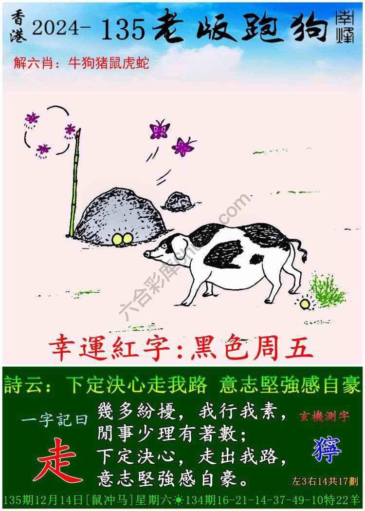 老版跑狗图