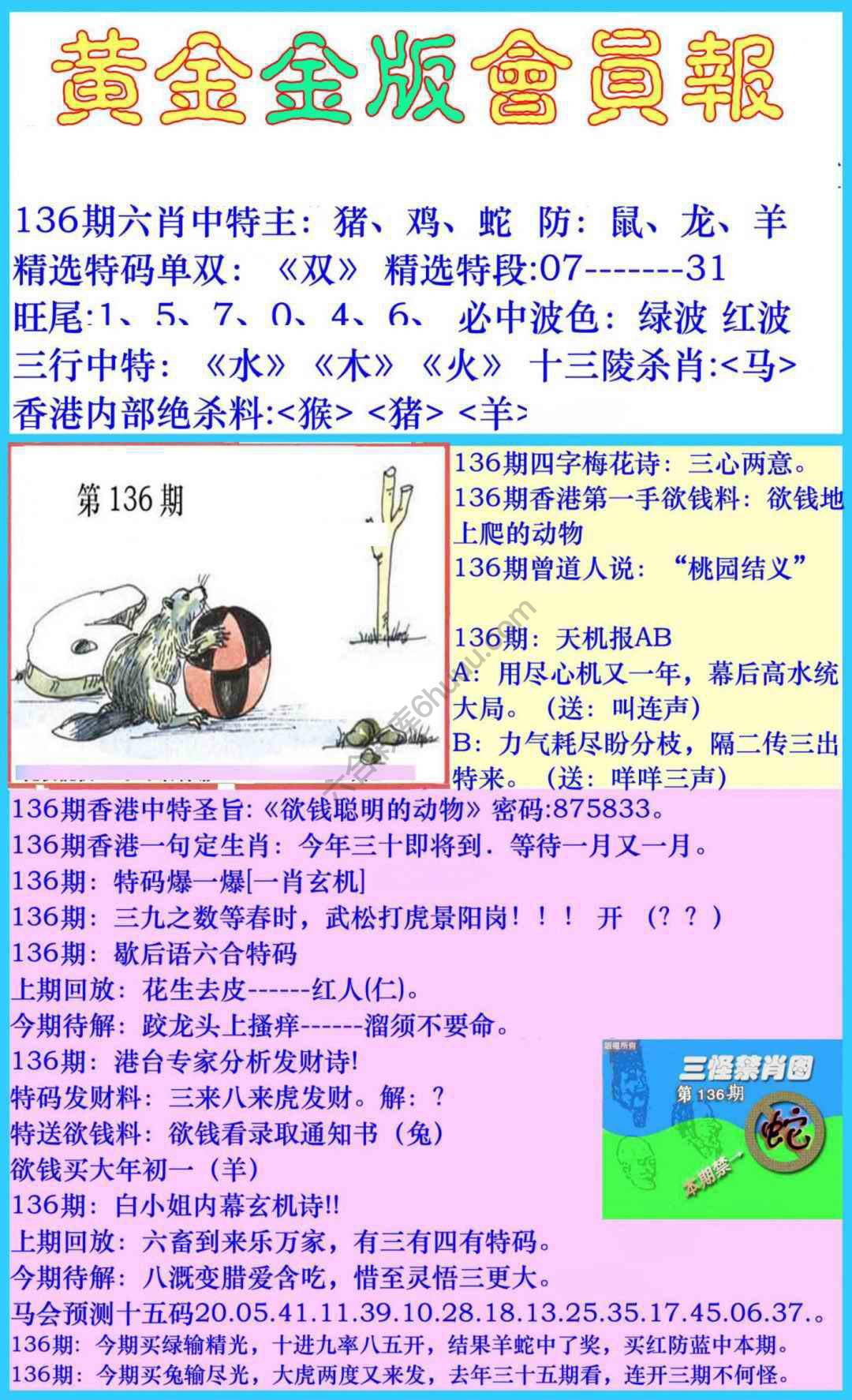 黄金金版会员报