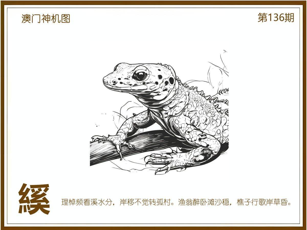 澳门神机图