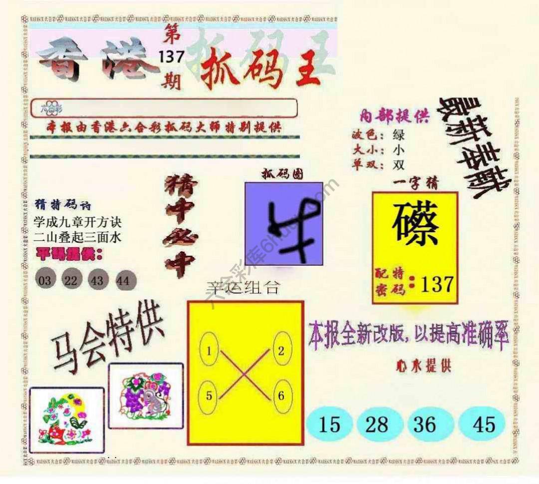 新抓码王
