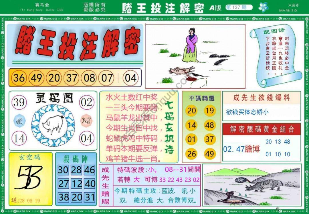 赌王投注解密