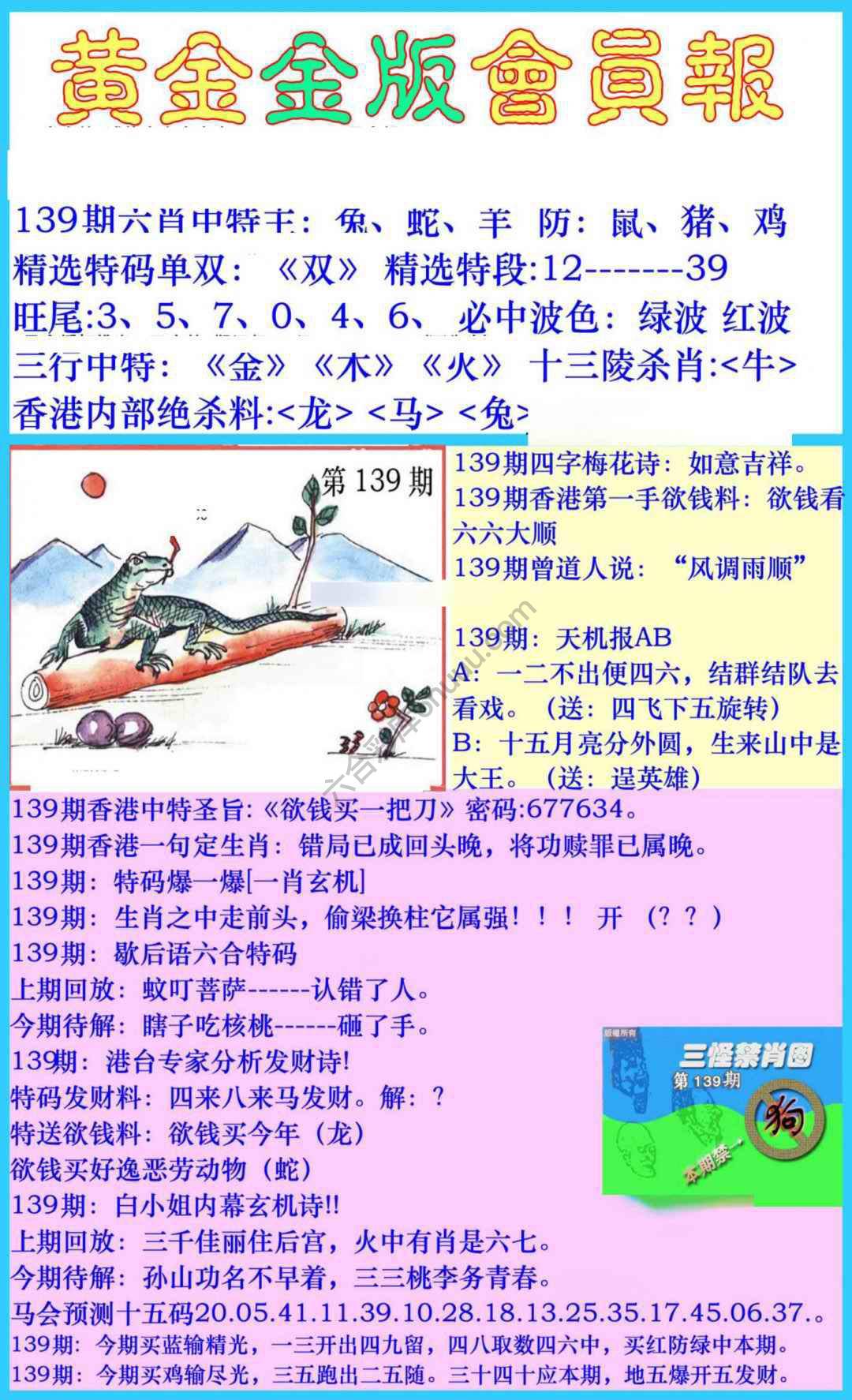 黄金金版会员报
