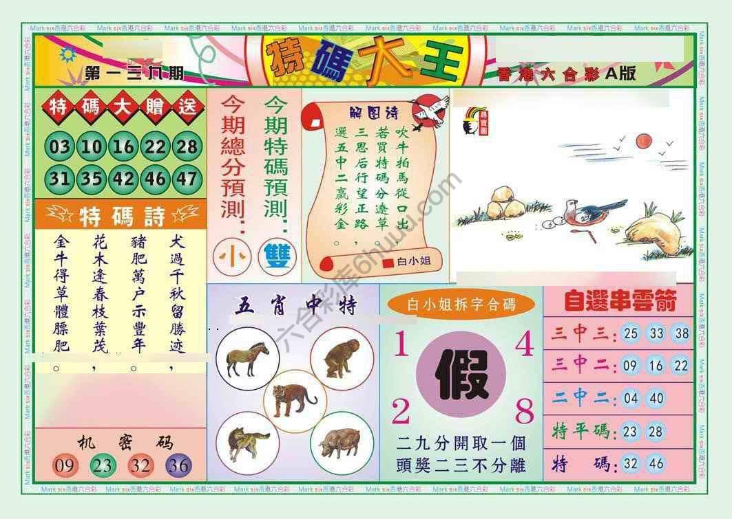 特码大王