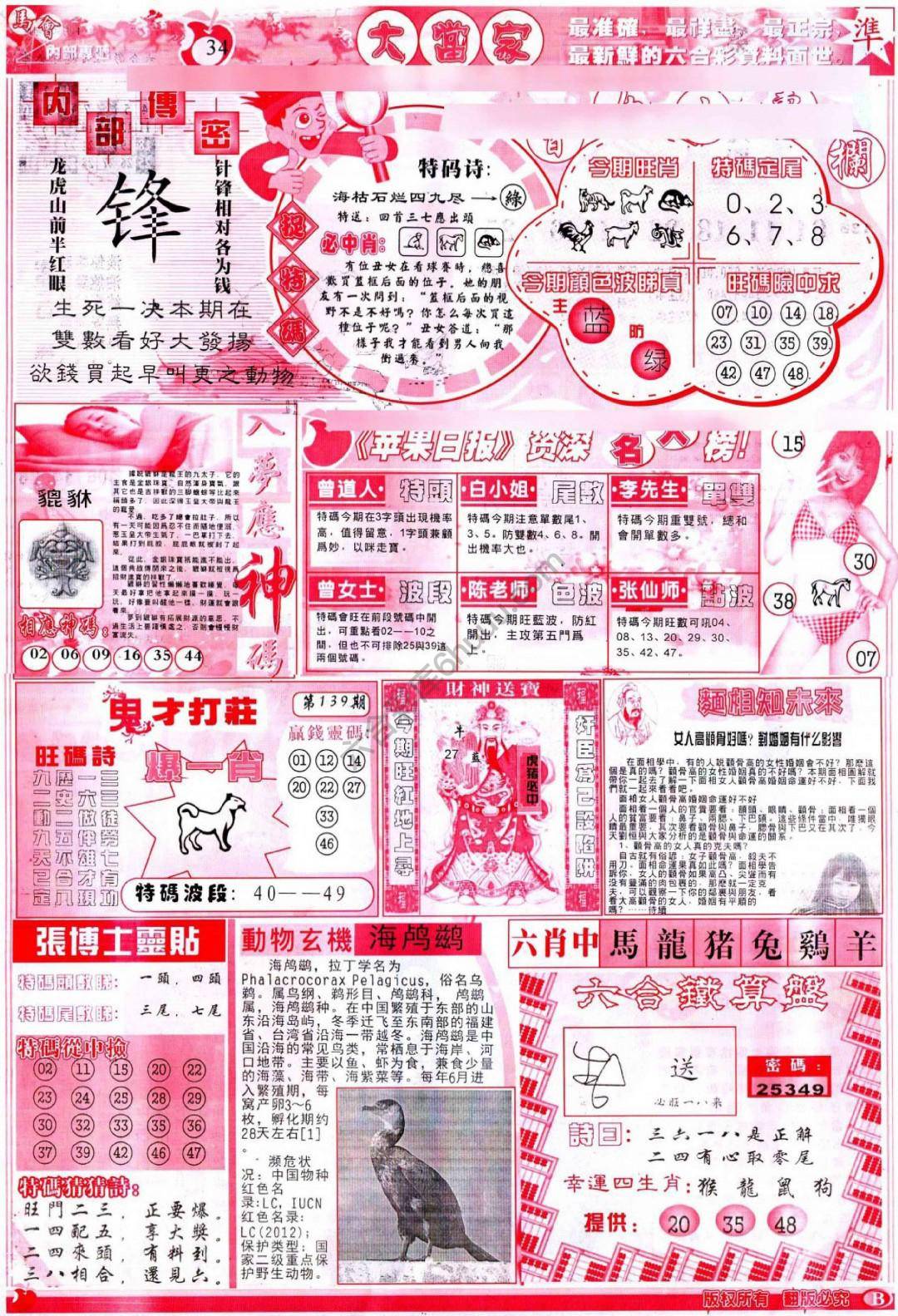 大当家