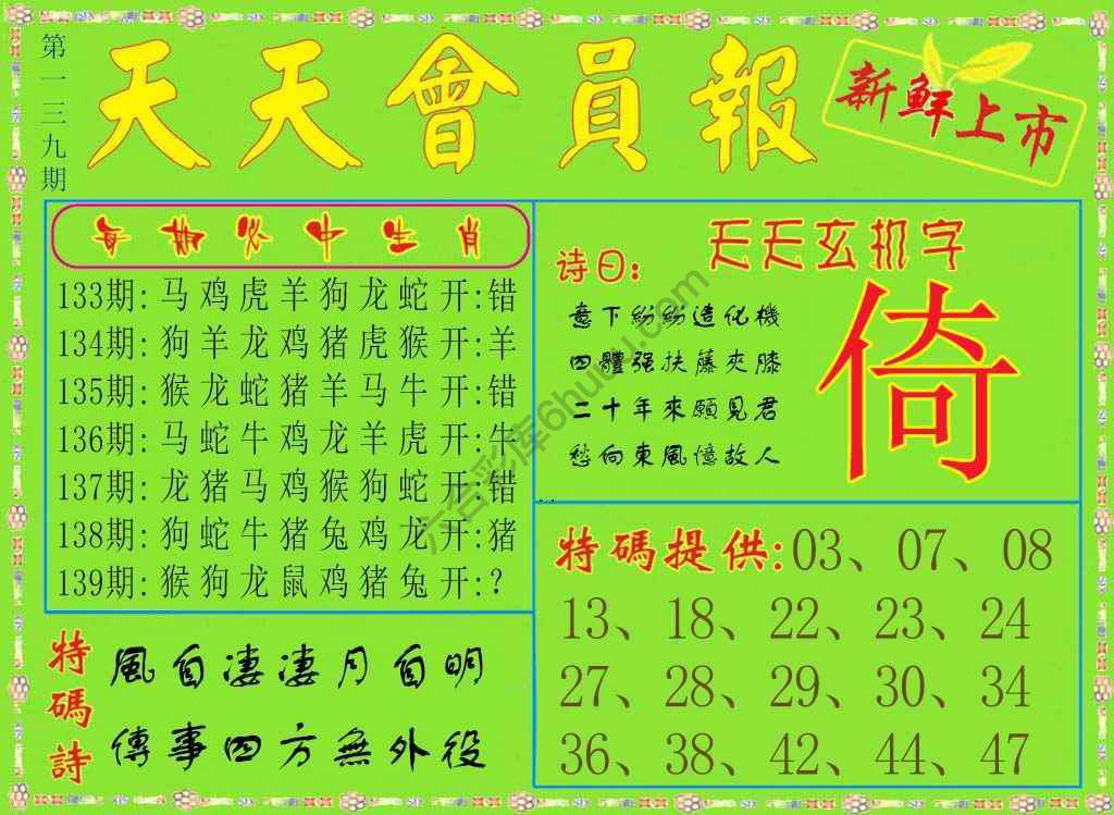 天天会员报