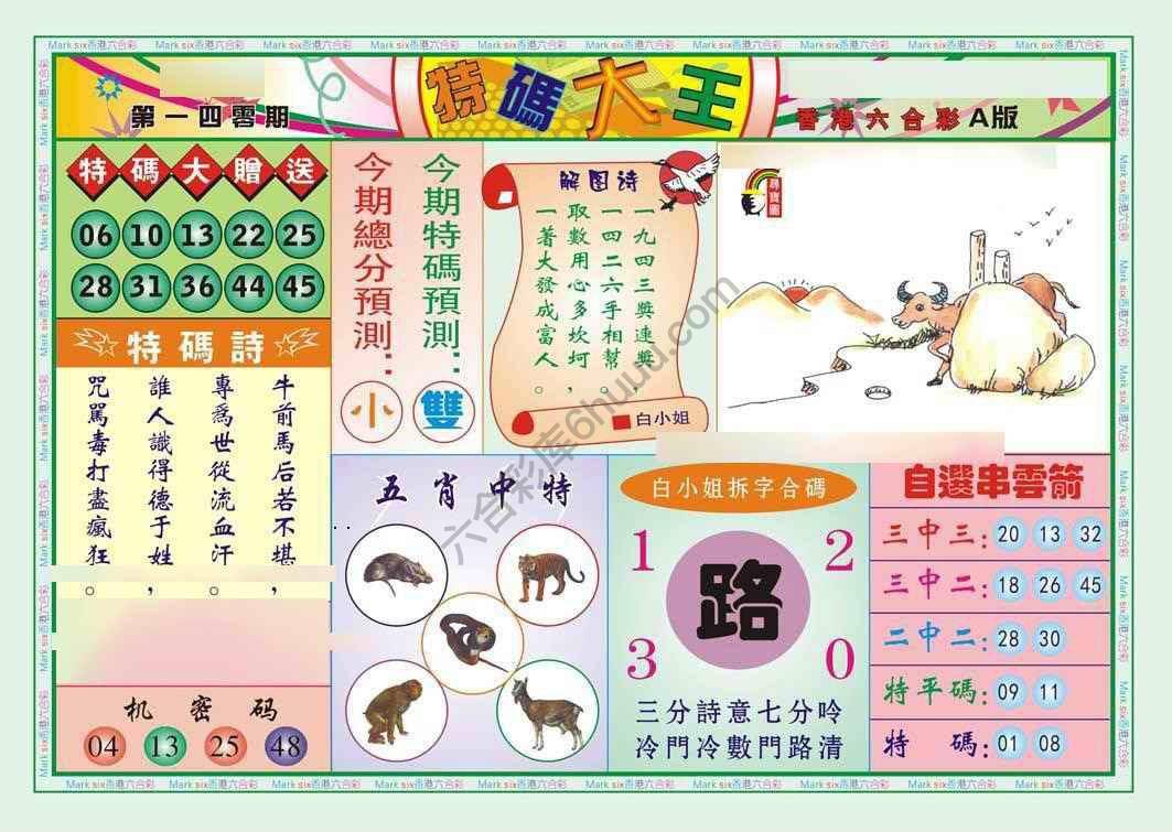 特码大王