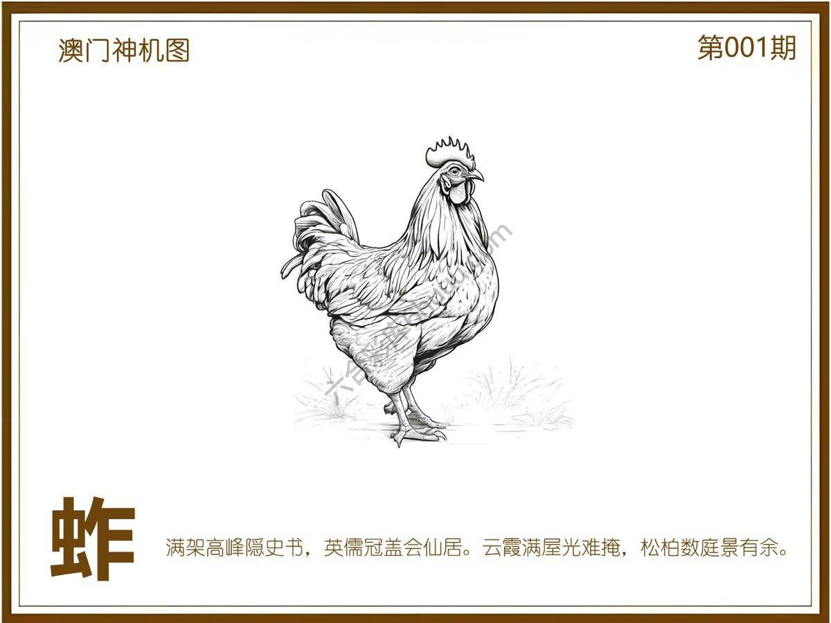 澳门神机图