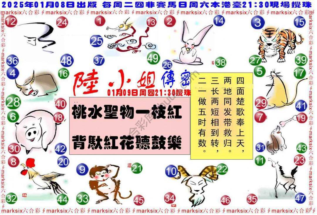 陆小姐传密