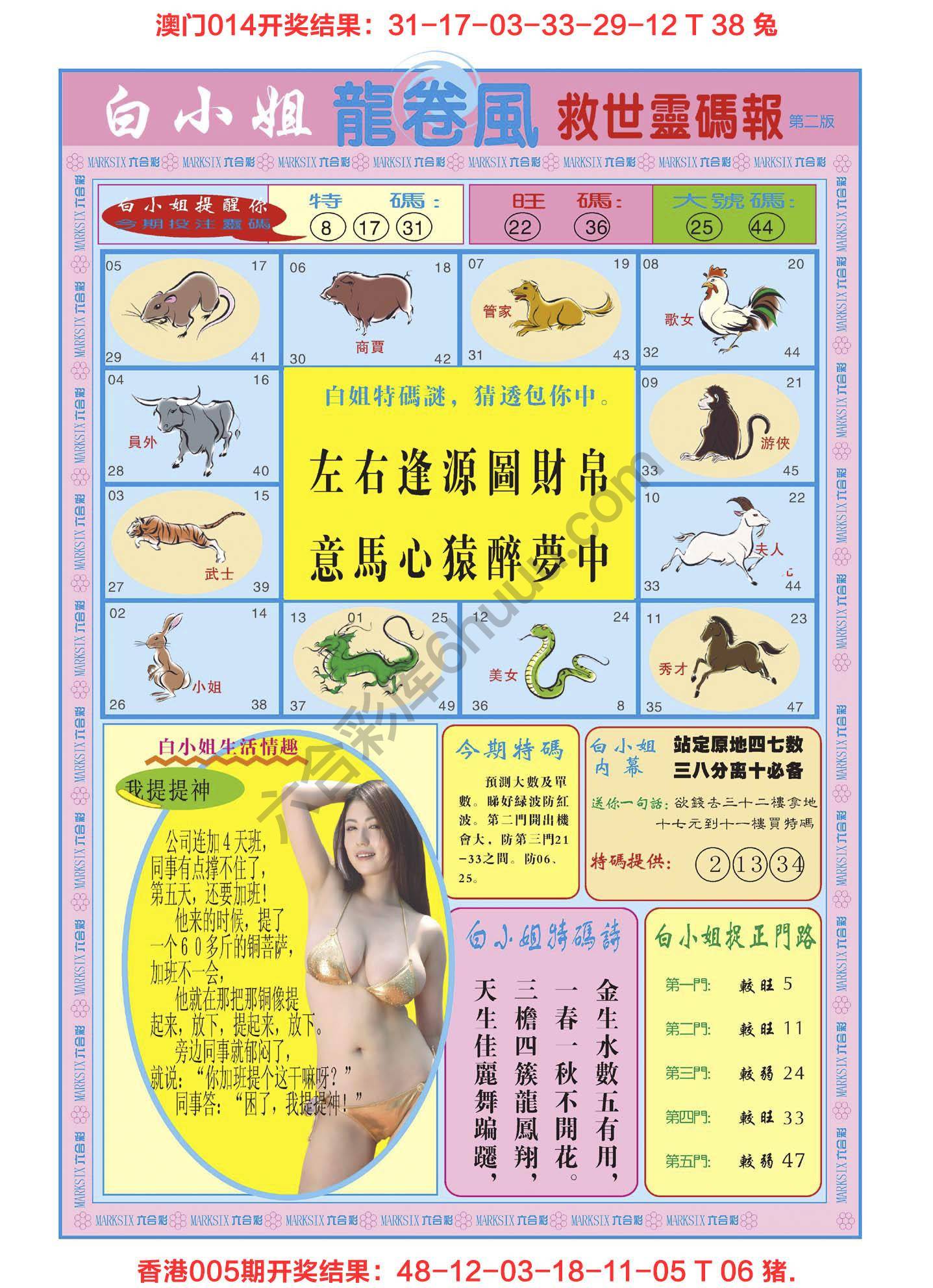 白小姐龙卷风