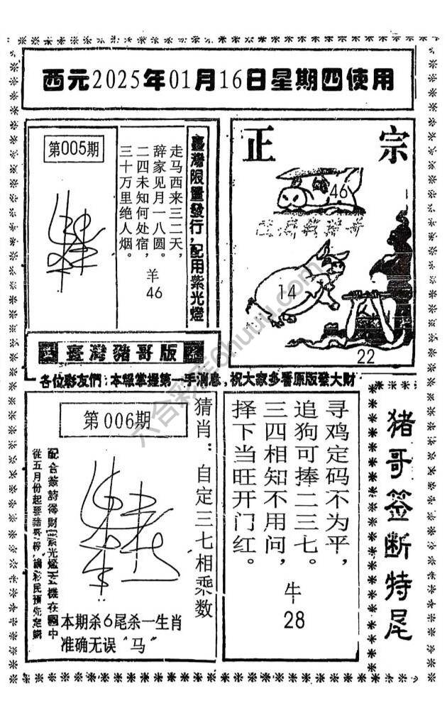 猪哥签断特尾