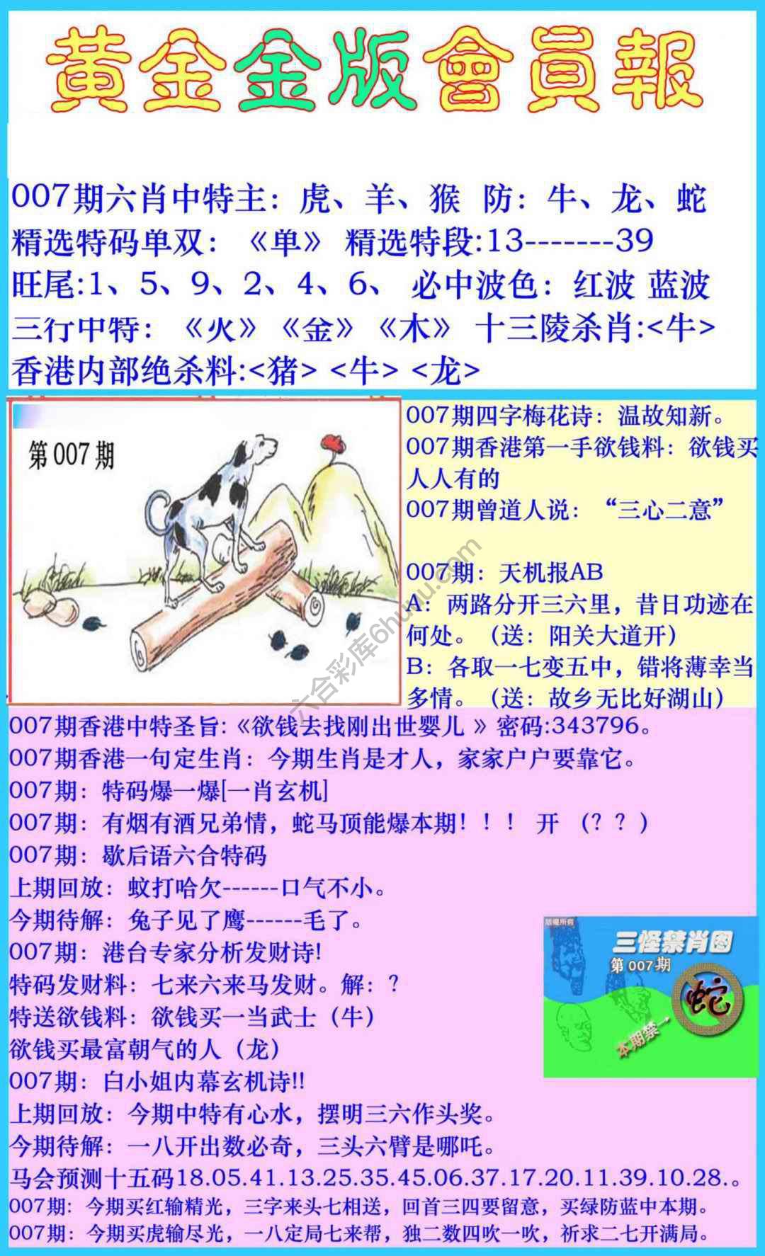 黄金金版会员报