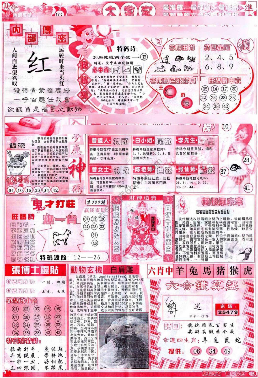 大当家