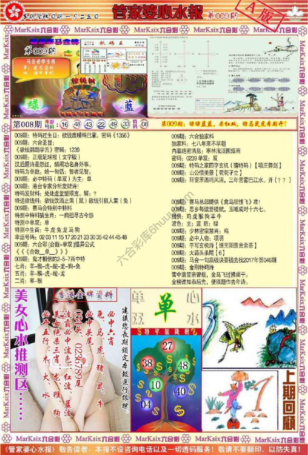 管家婆心水报