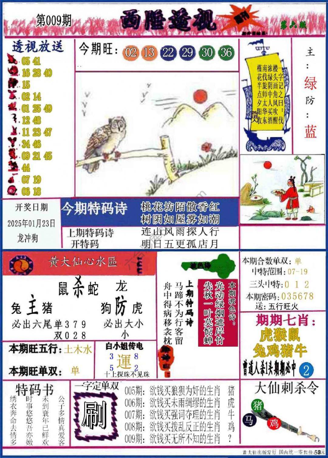 西陲透视（正版）
