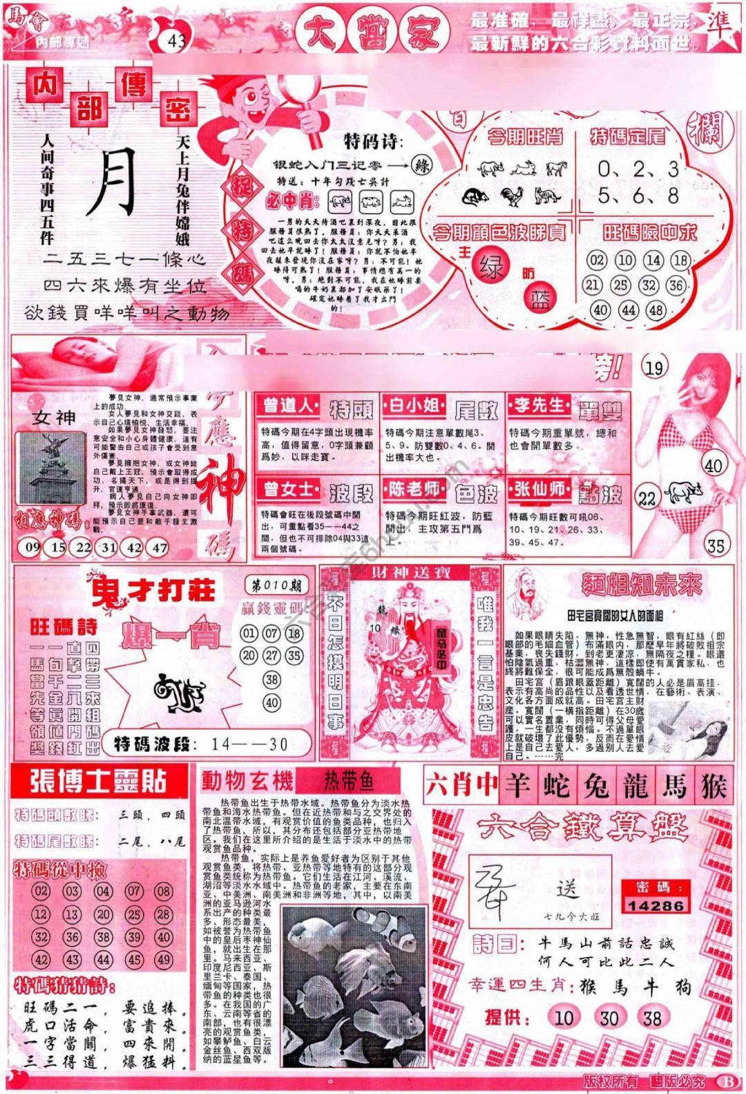 大当家