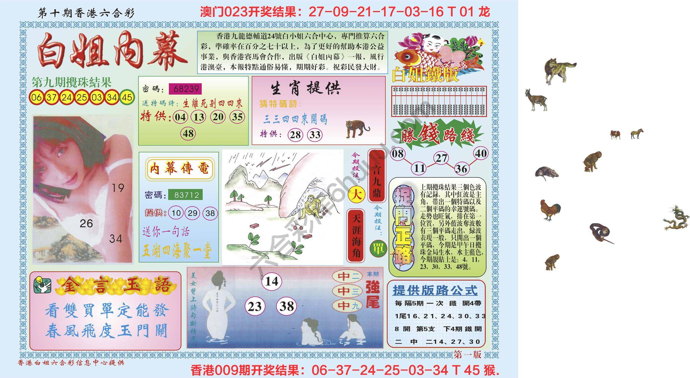 白姐内幕