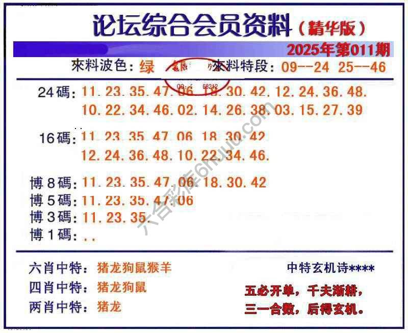 综合会员资料