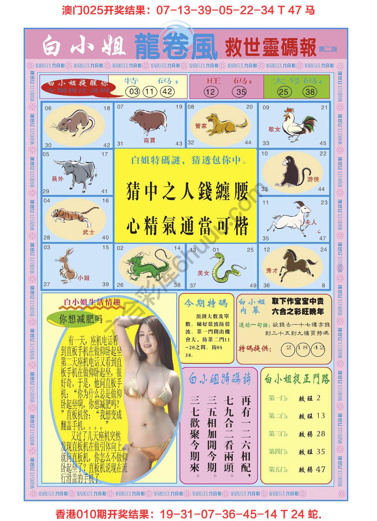白小姐龙卷风