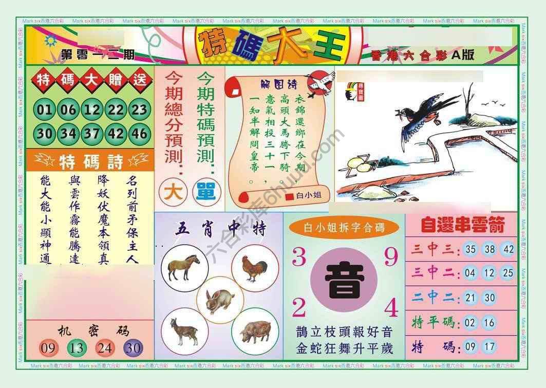 特码大王