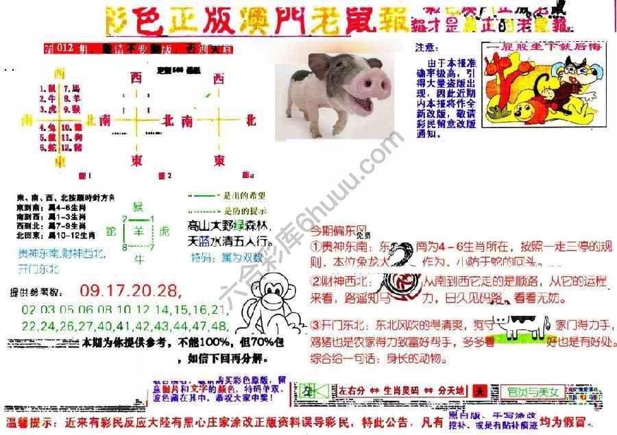 澳门老鼠报