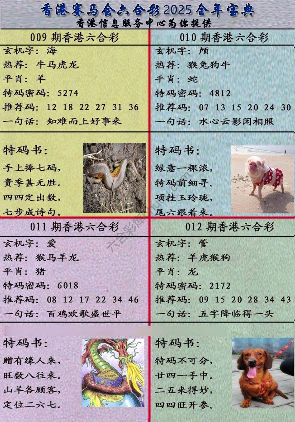 宝典报