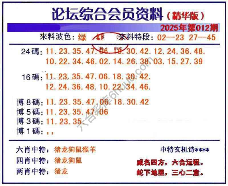 综合会员资料