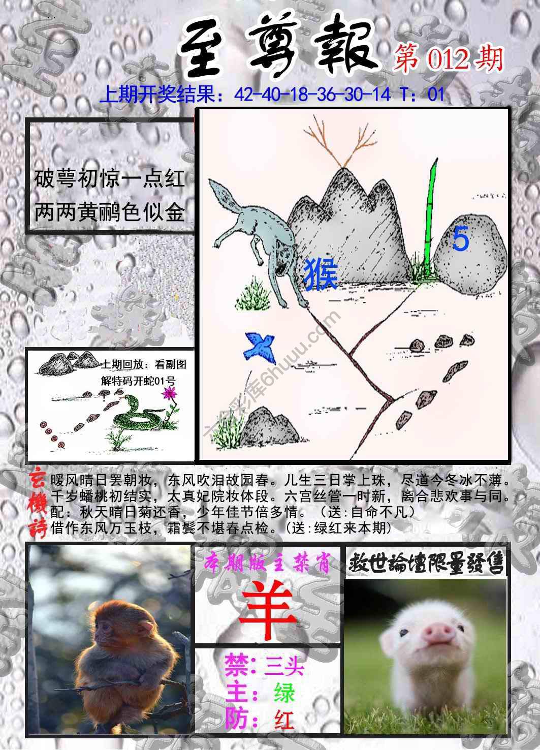 至尊报