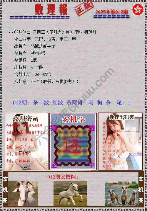 数理报