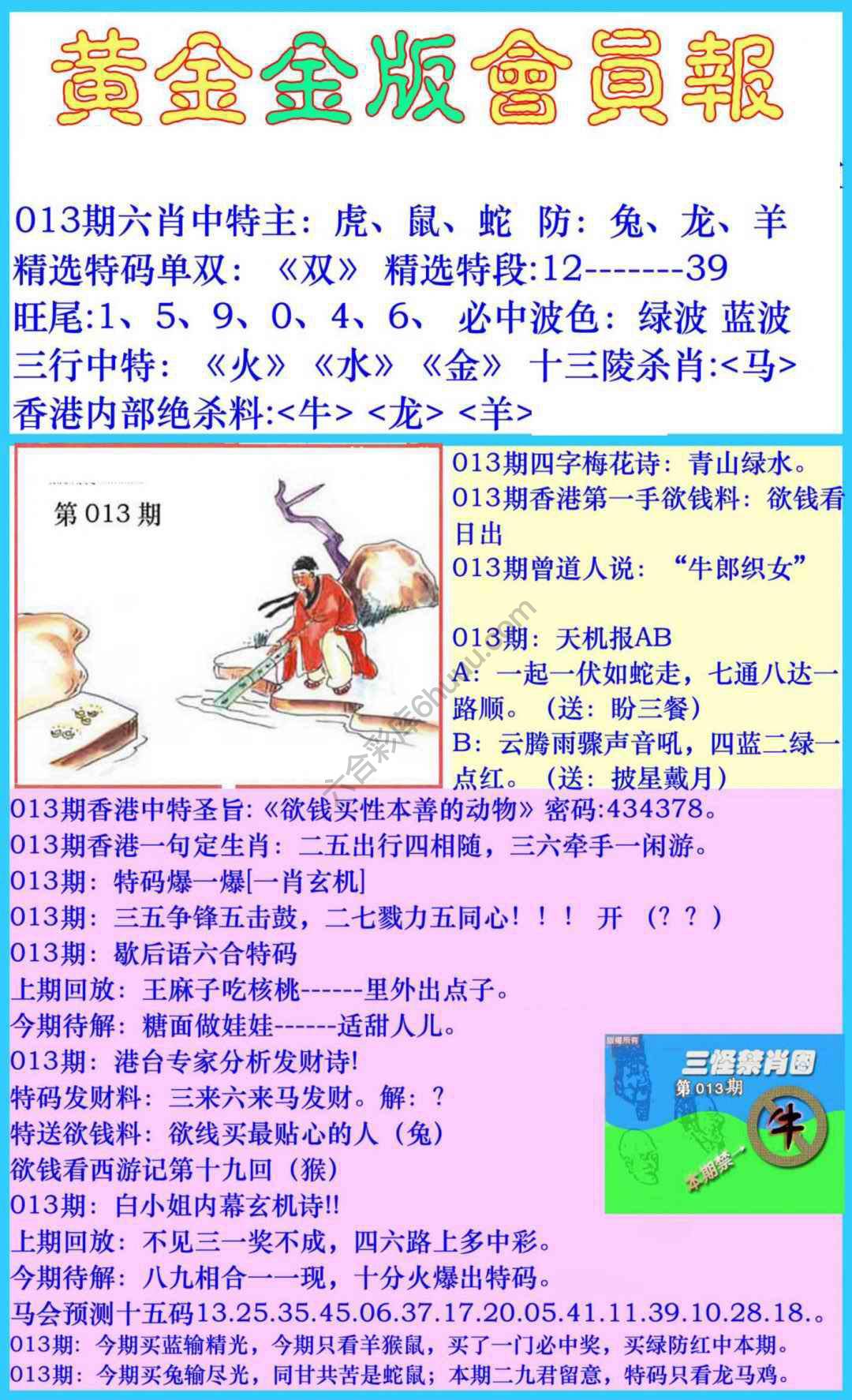 黄金金版会员报