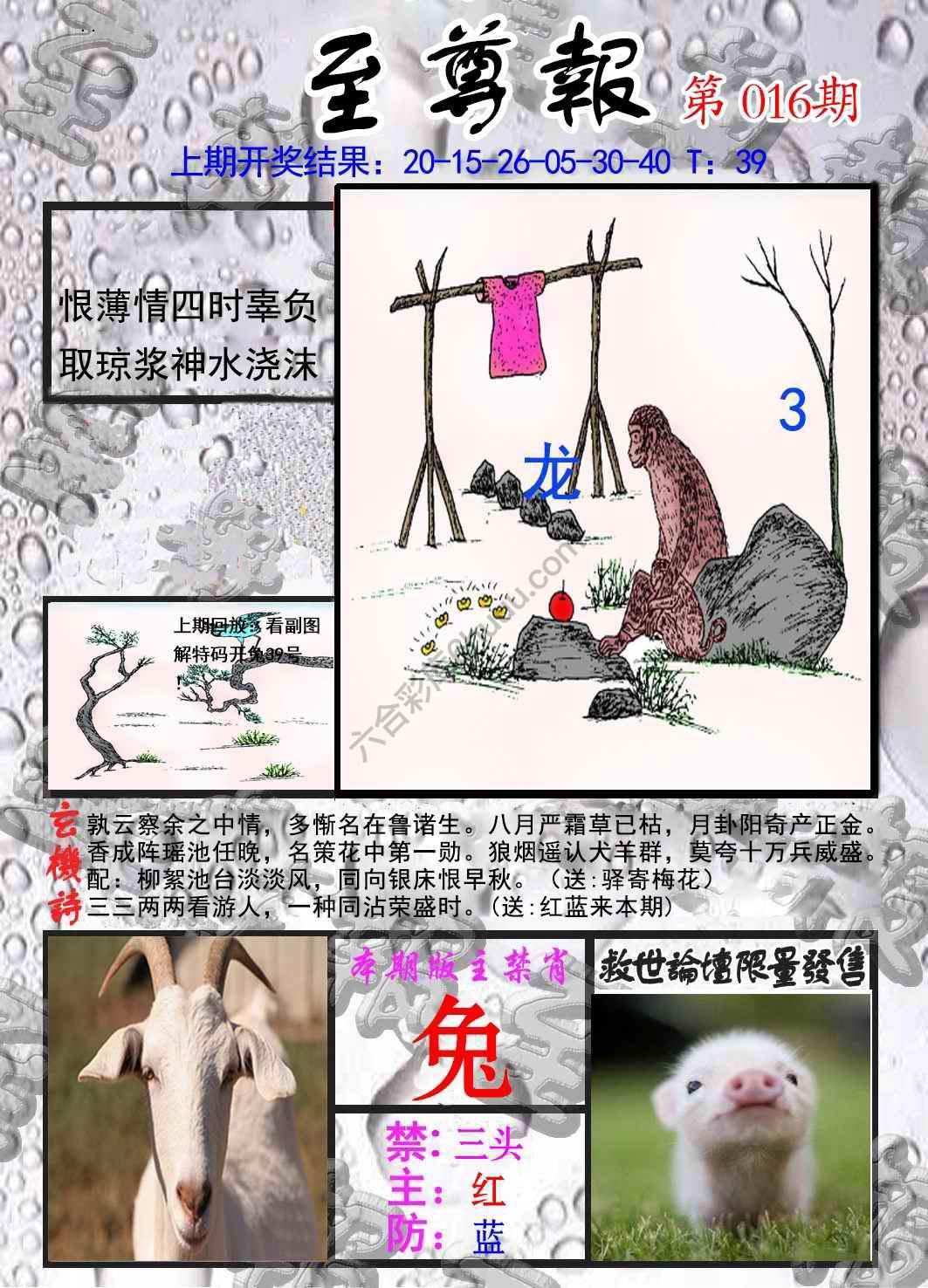 至尊报
