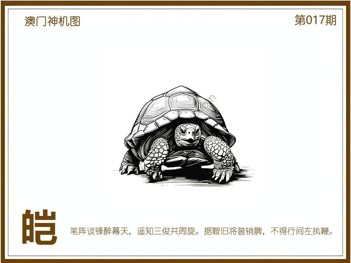 澳门神机图