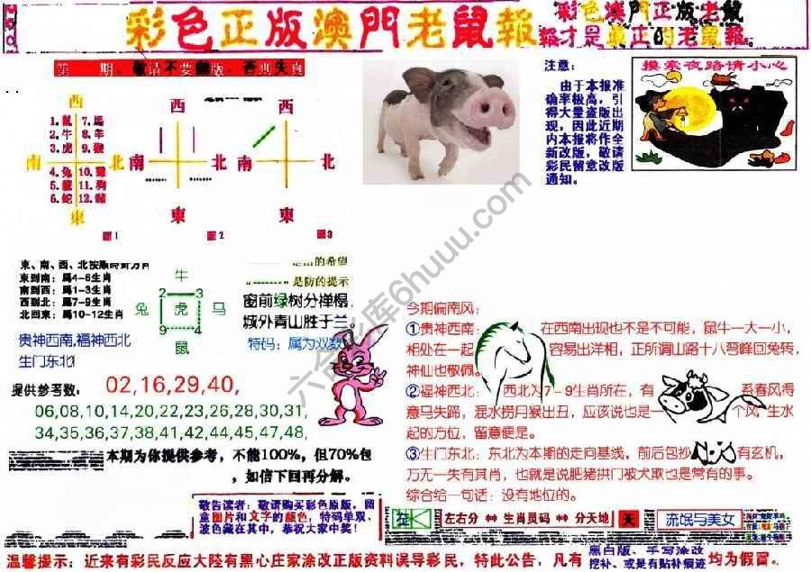 澳门老鼠报