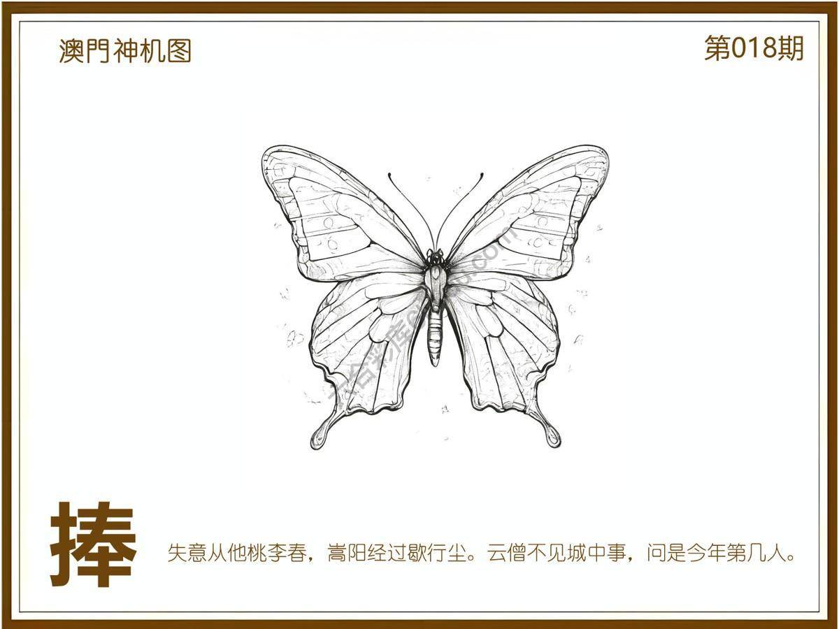 澳门神机图