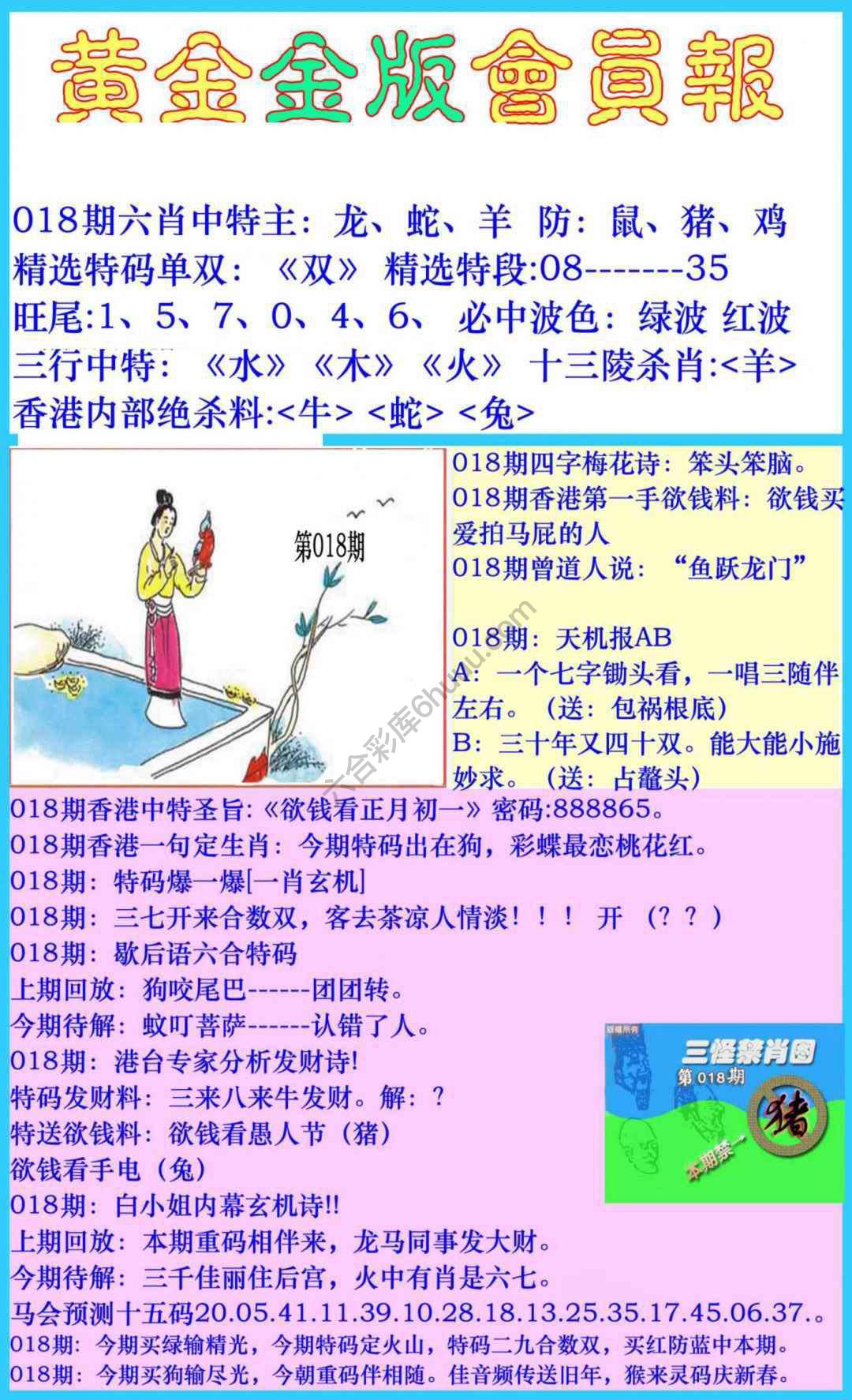 黄金金版会员报