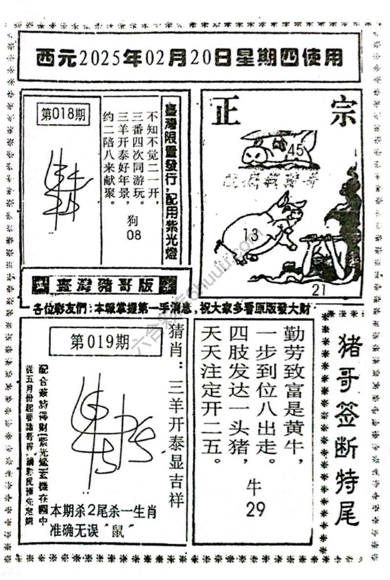 猪哥签断特尾