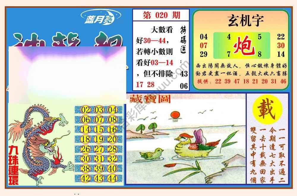 蓝月亮神龙报
