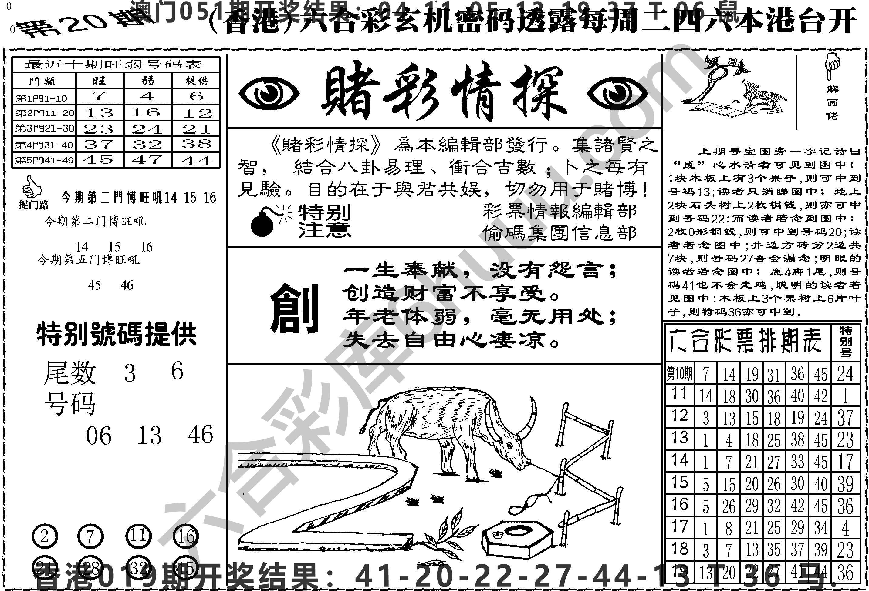 赌彩情探