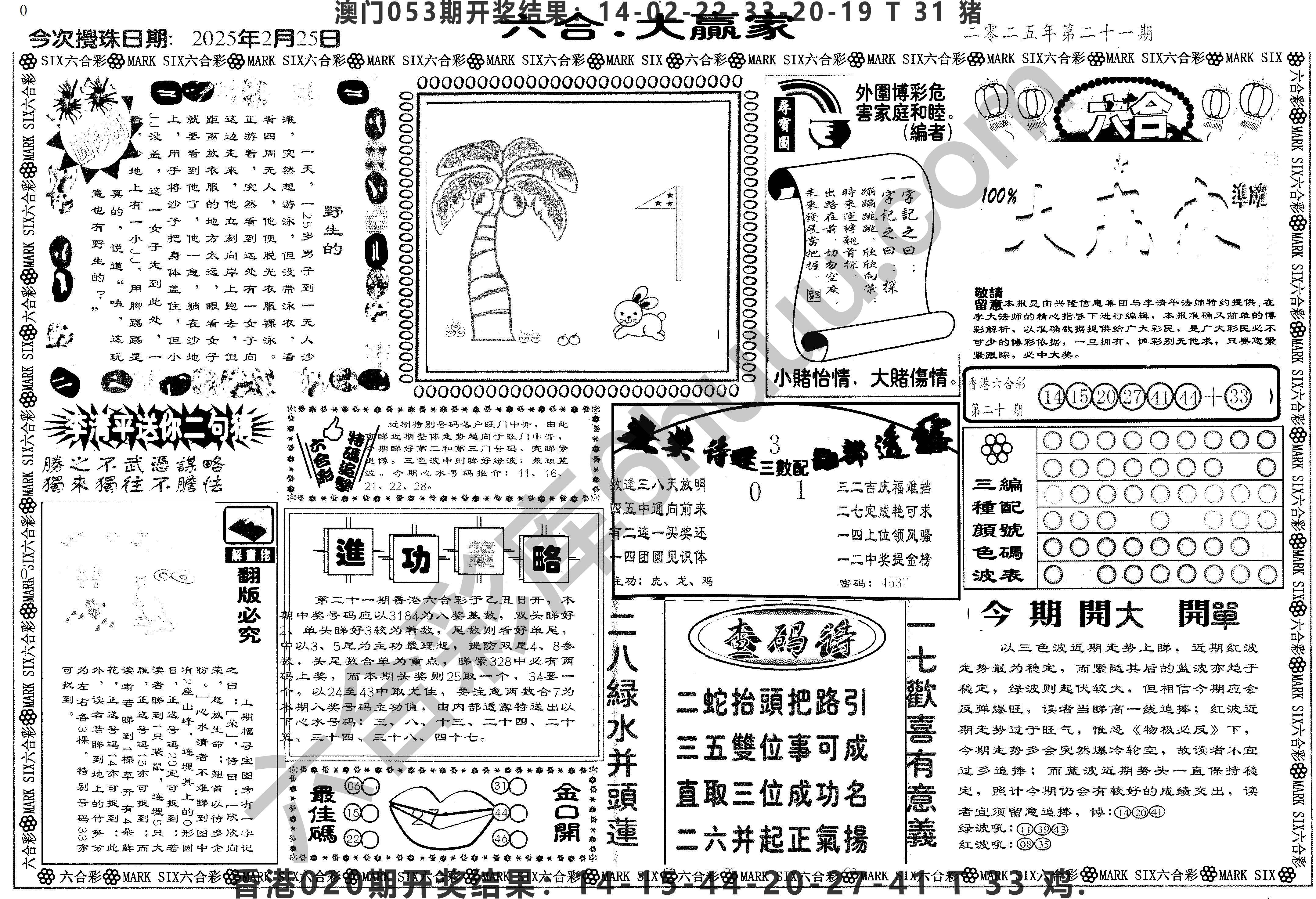 大家赢
