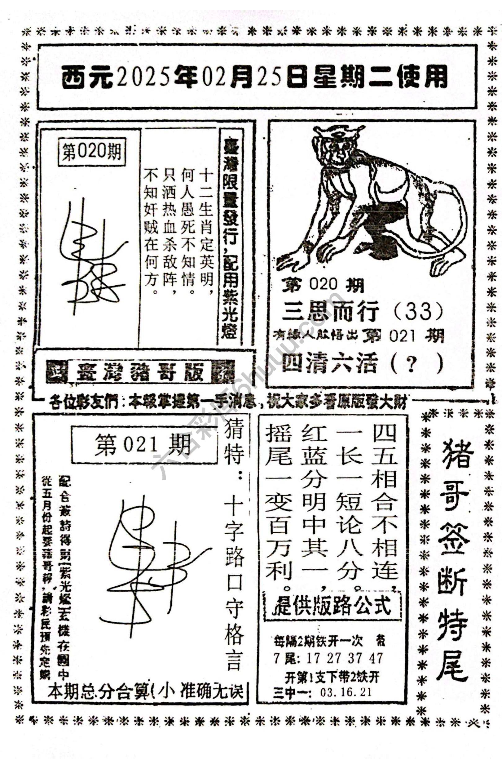 猪哥签断特尾