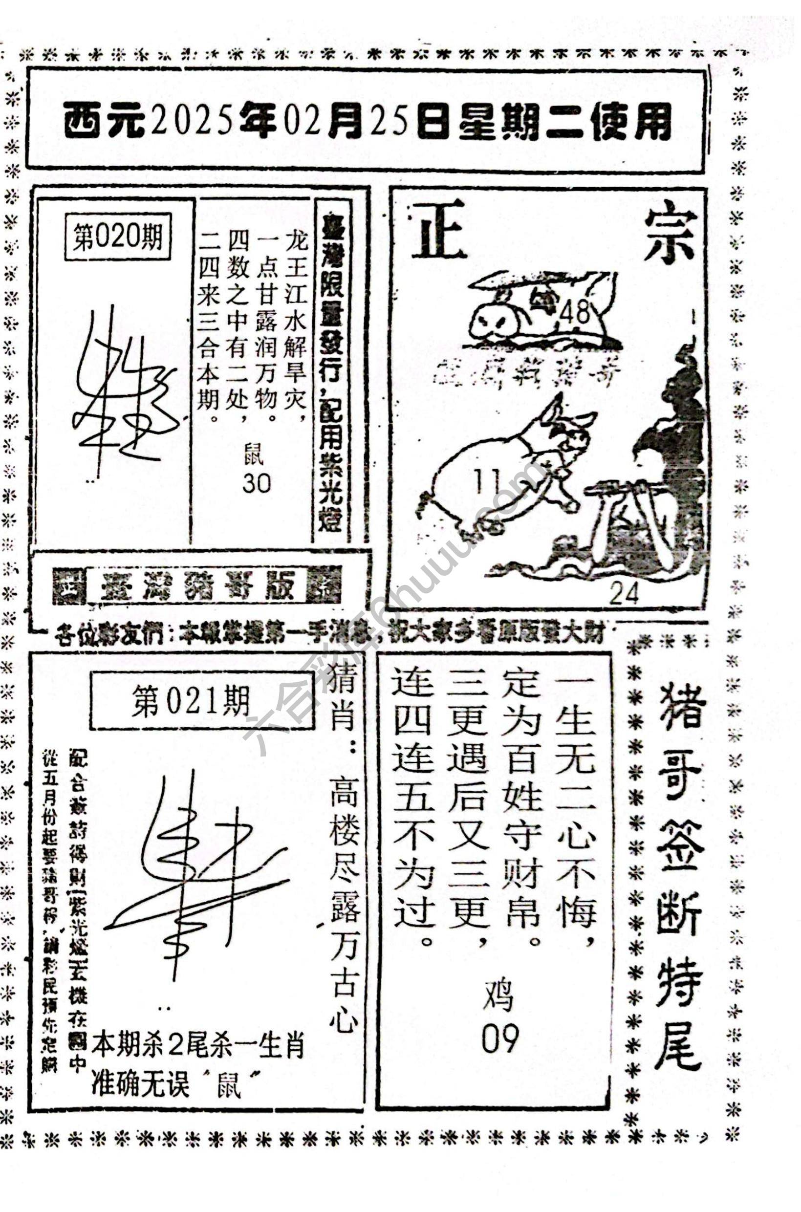 猪哥签断特尾