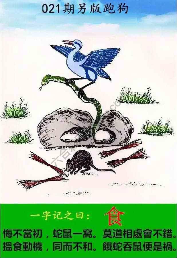 另版跑狗
