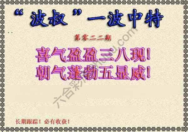 波叔一波中特