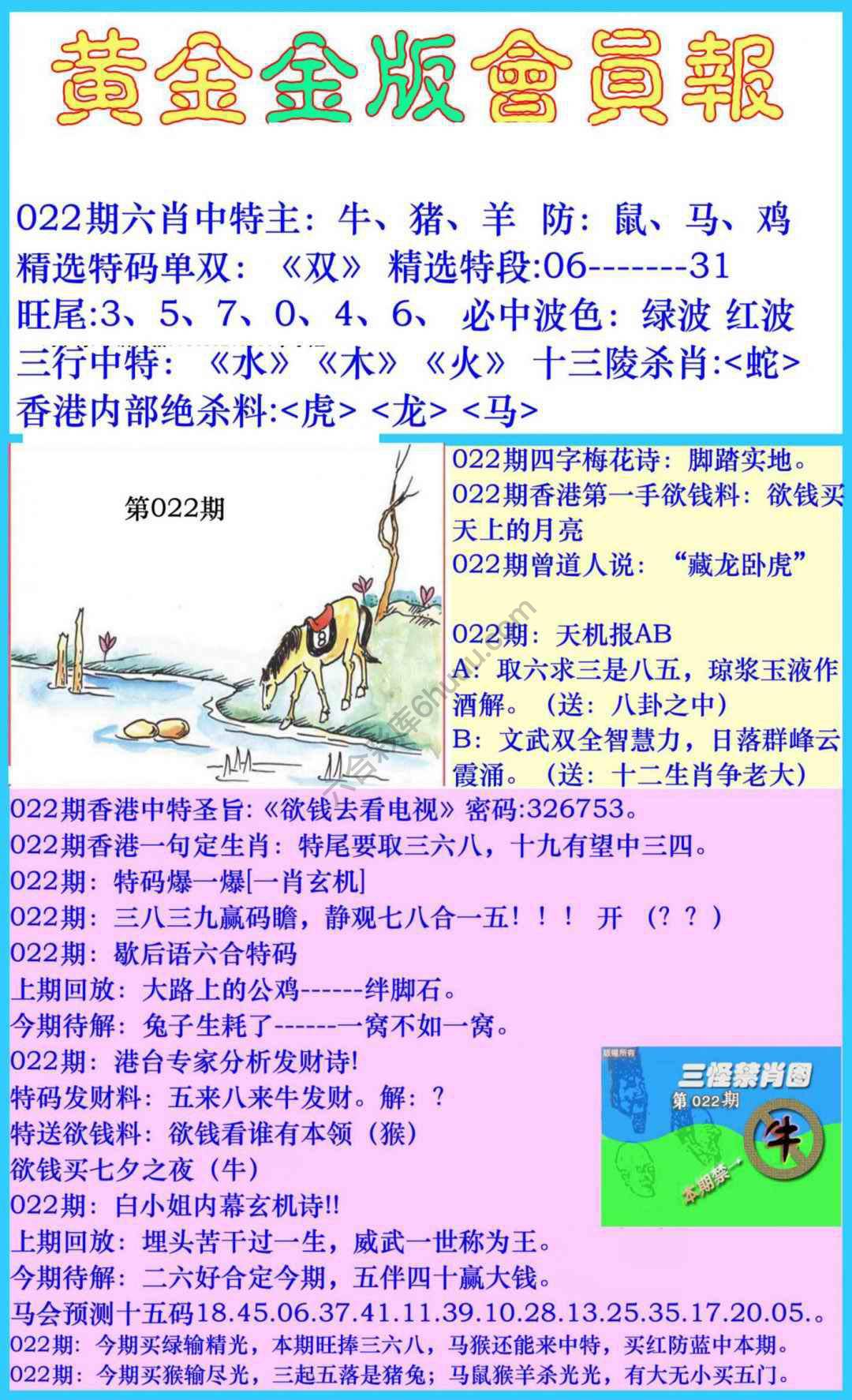 黄金金版会员报