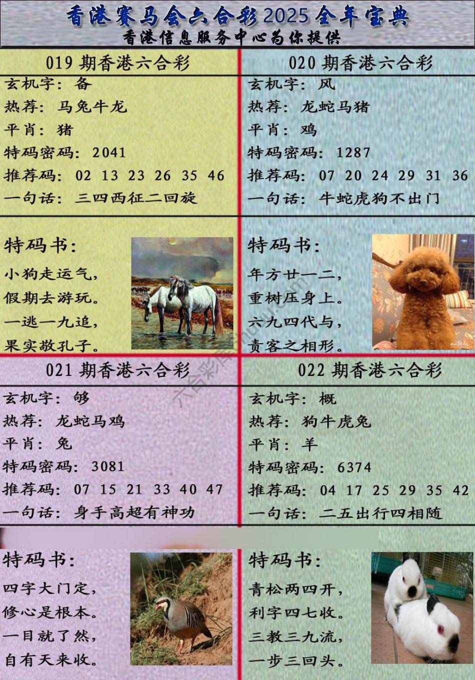 宝典报