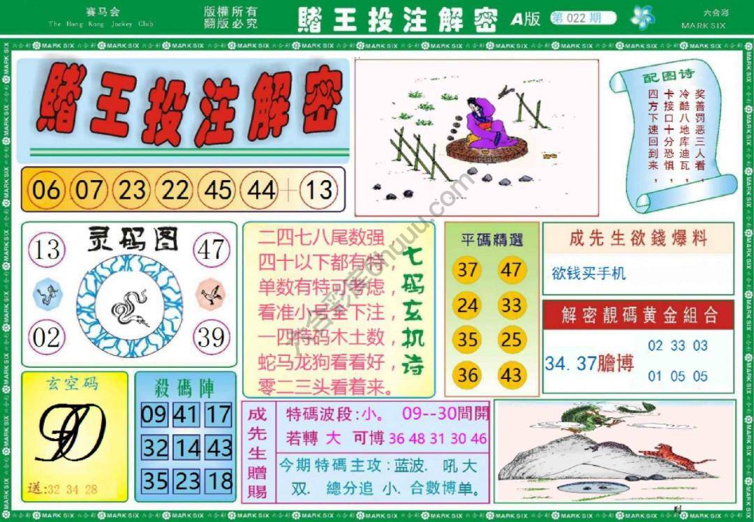赌王投注解密