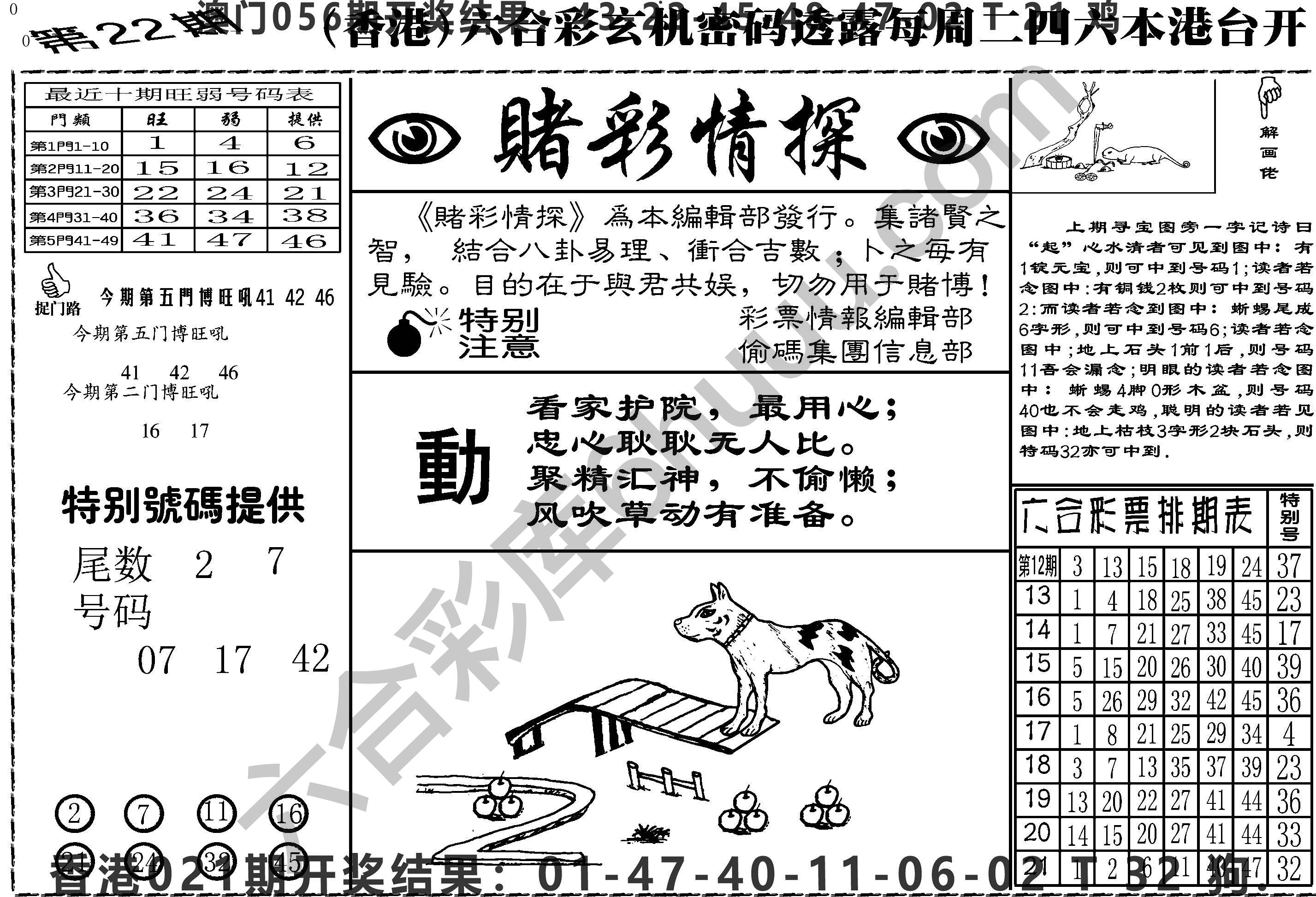 赌彩情探