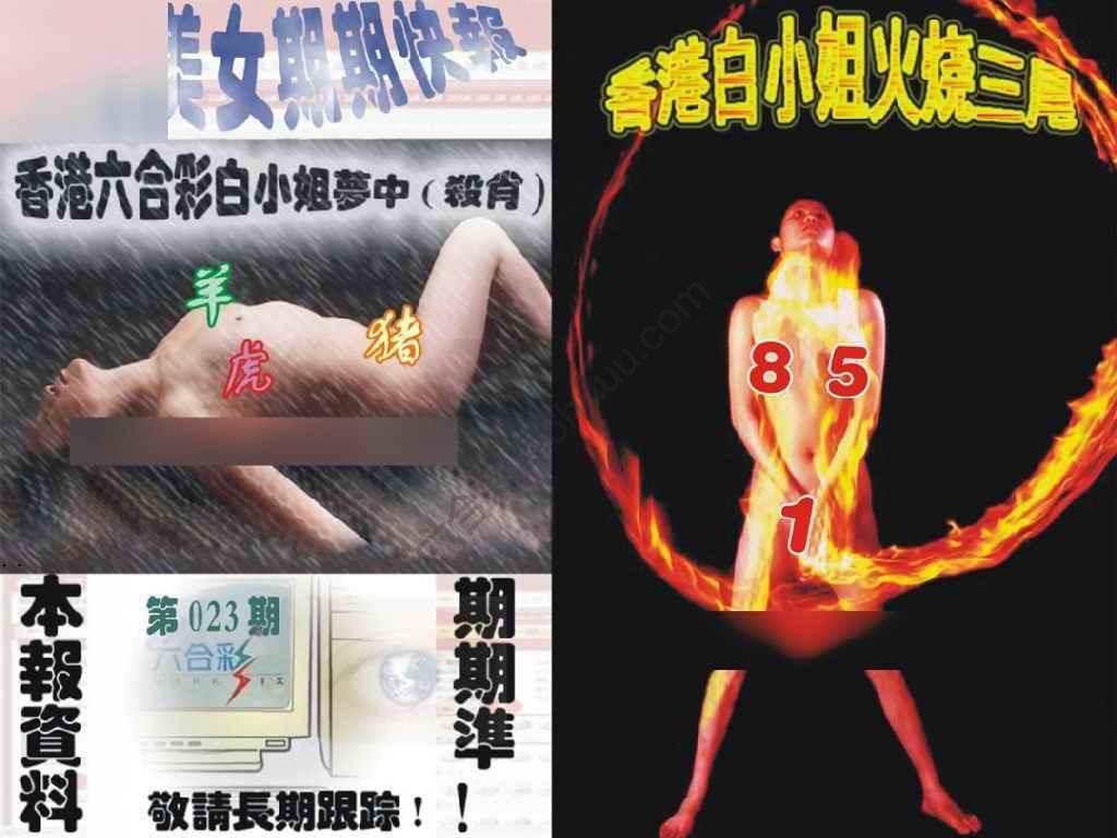 环球美女特码报