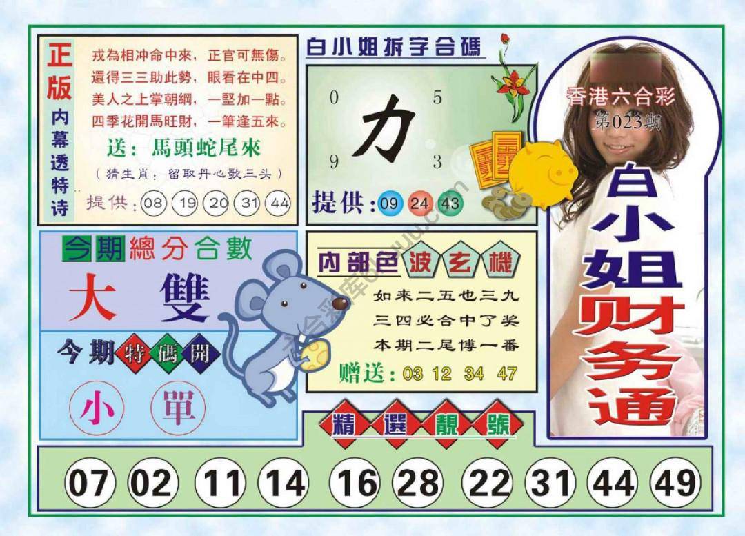 白小姐财务通